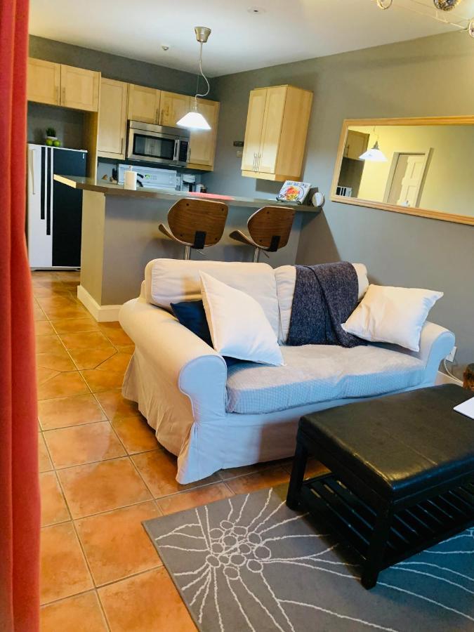 Condo Entier, Fully Equiped Pool And Spa Only In Summer 몽트랑블랑 외부 사진
